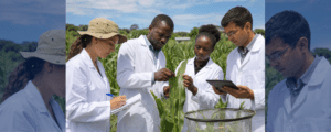 Featured image of the article Plant-Based Biopesticides Against *Spodoptera frugiperda*: Recent Scientific Advances.