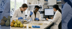 Featured image of the article Chemical Composition of Pyrus communis L. Fruits: Nutrients, Phytochemicals, Aroma Compounds, and Sources of Variation.
